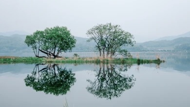Surwal Jhil