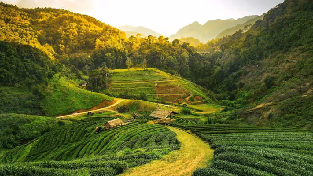 Assam